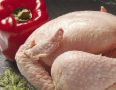 Мытье сырой курицы: опасность для здоровья, о которой стоит знать